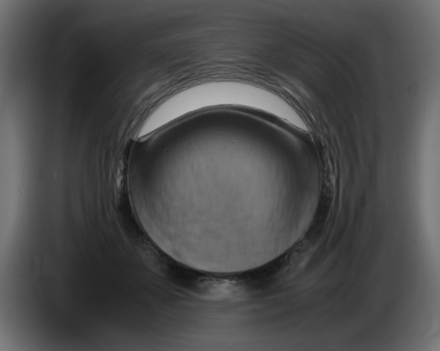 X0000083560507200703021722