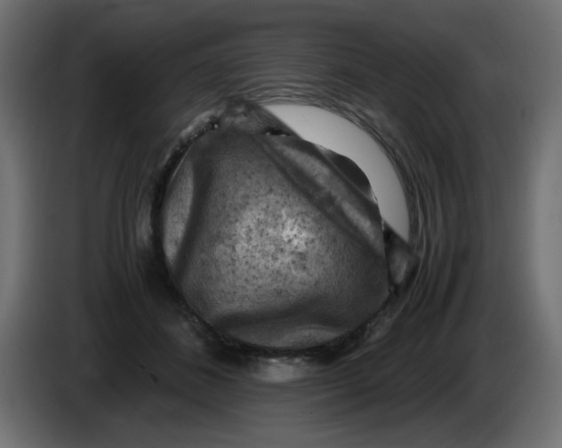 X0000083560508200703021722