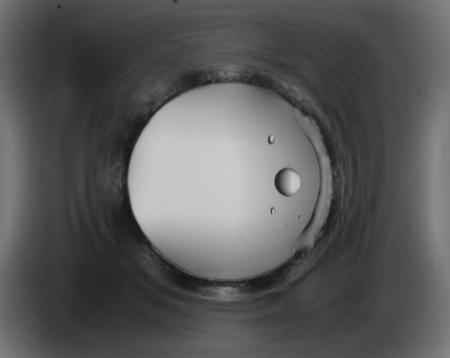 X0000083560509200703021722