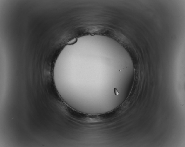 X0000083560510200703021722