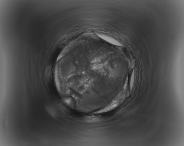 X0000083560511200703021722