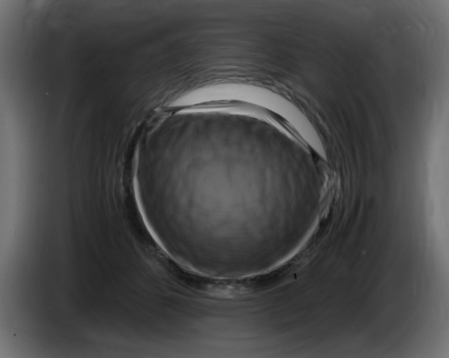 X0000083560512200703021722