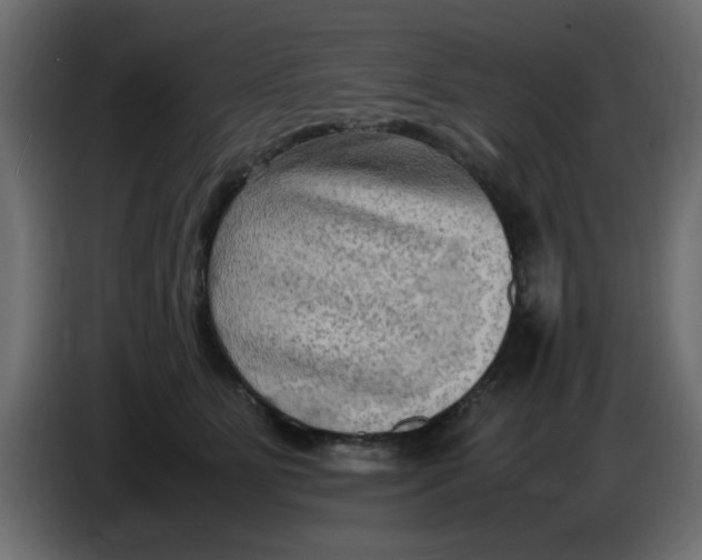 X0000083560515200703021722