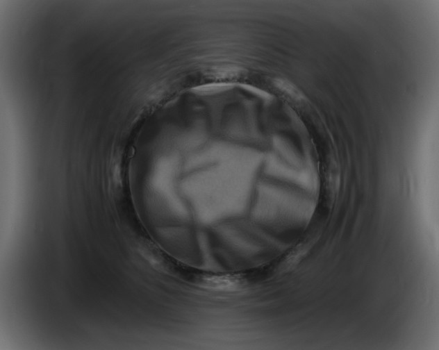 X0000083560516200703021722