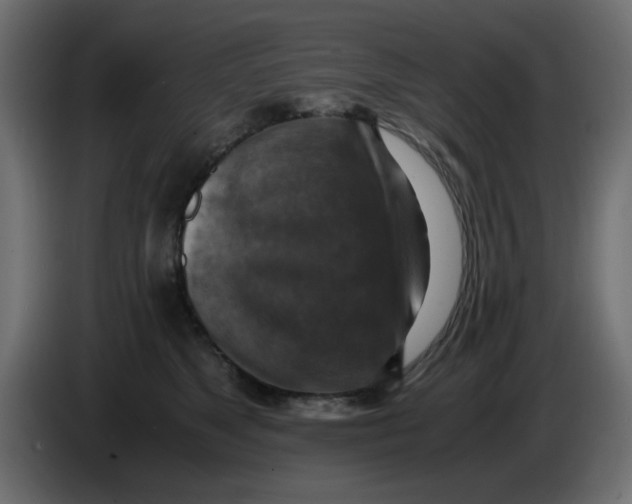 X0000083560517200703021722