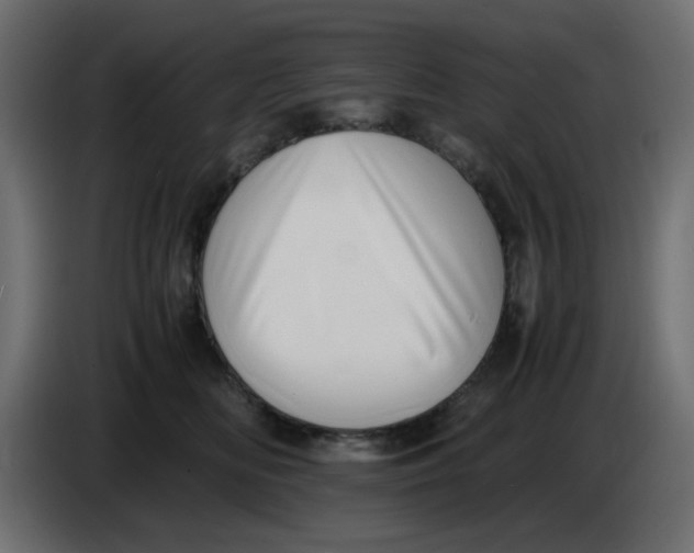 X0000083560518200703021722