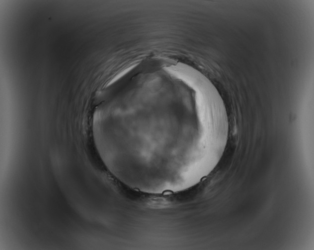 X0000083560519200703021722