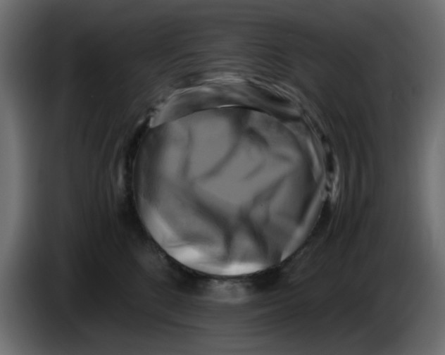 X0000083560520200703021722