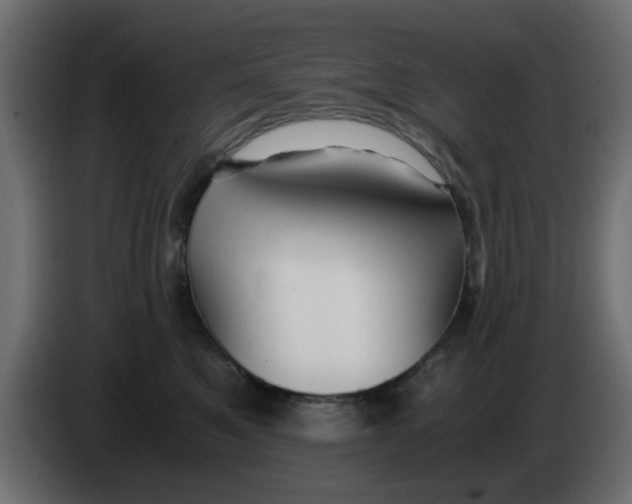 X0000083560521200703021722