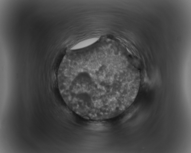 X0000083560523200703021722