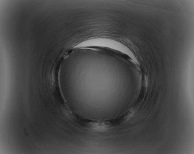 X0000083560524200703021722