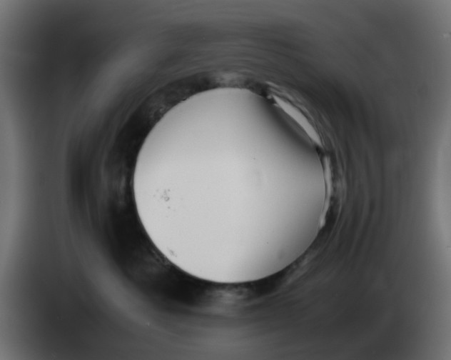 X0000083560525200703021722