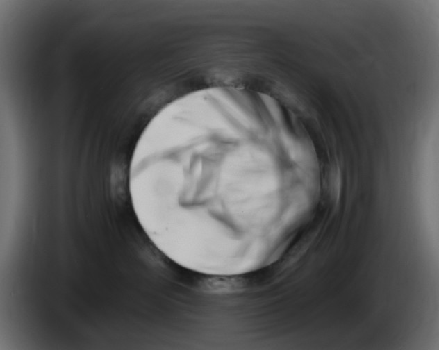 X0000083560526200703021722