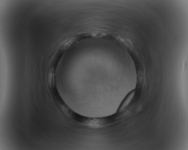 X0000083560527200703021722