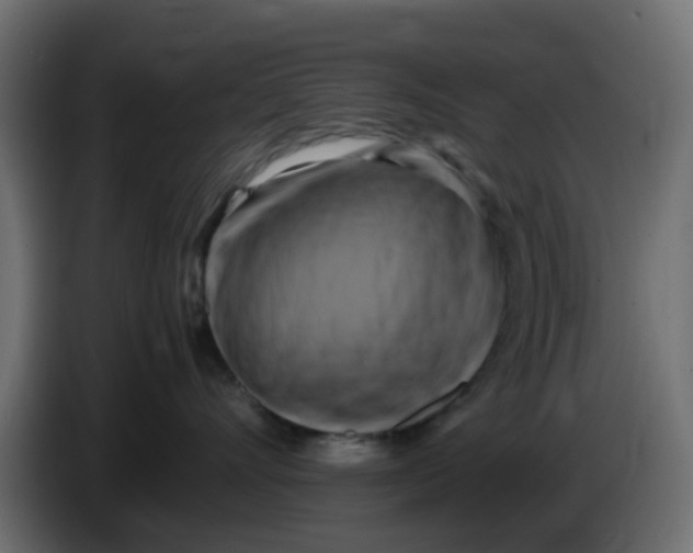 X0000083560528200703021722