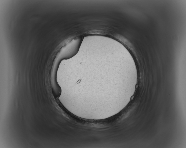 X0000083560529200703021721