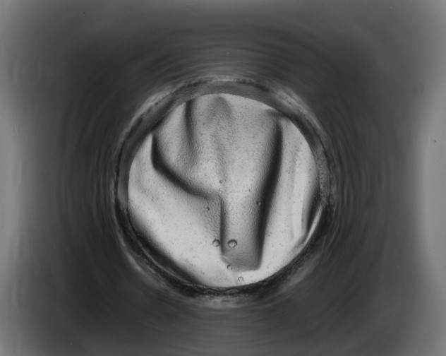 X0000083560530200703021721