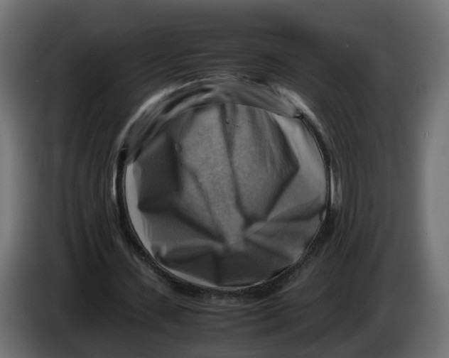 X0000083560531200703021721