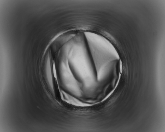 X0000083560532200703021721