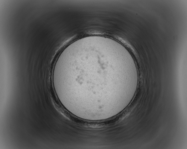 X0000083560533200703021721