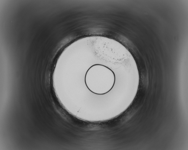 X0000083560534200703021721