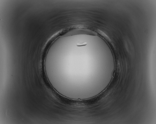 X0000083560535200703021721