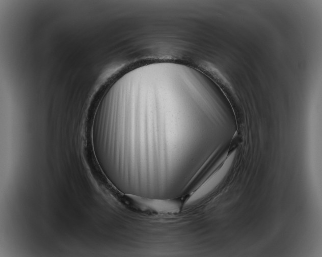 X0000083560536200703021721