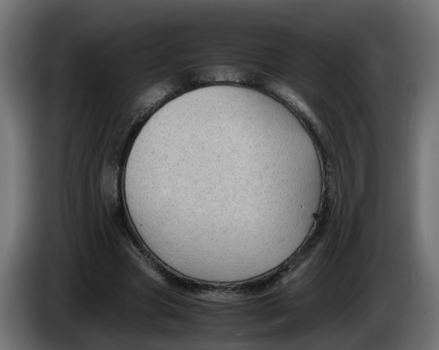 X0000083560537200703021721