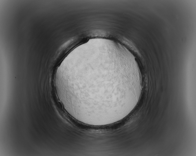 X0000083560538200703021721