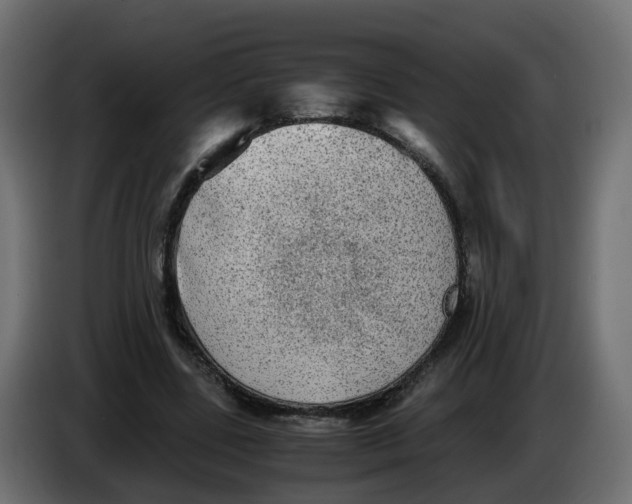 X0000083560539200703021721