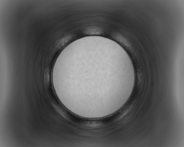 X0000083560541200703021721