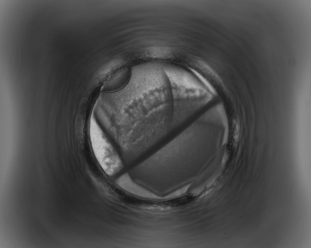 X0000083560542200703021721