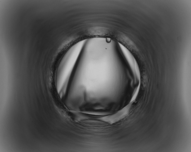 X0000083560544200703021721