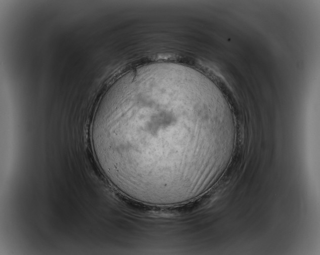 X0000083560545200703021721