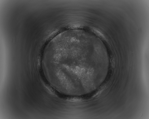 X0000083560546200703021721