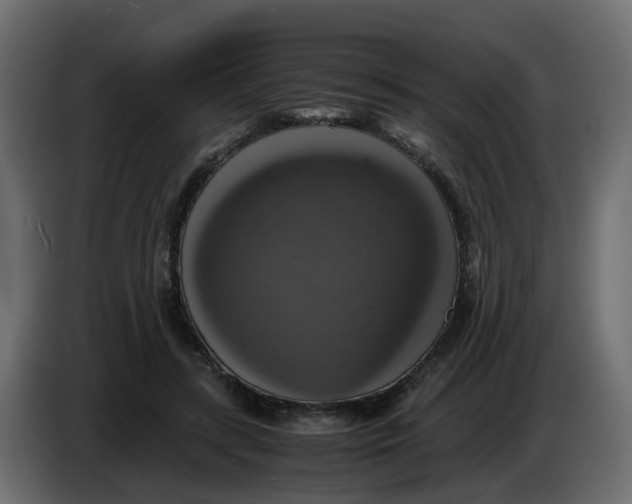 X0000083560547200703021721