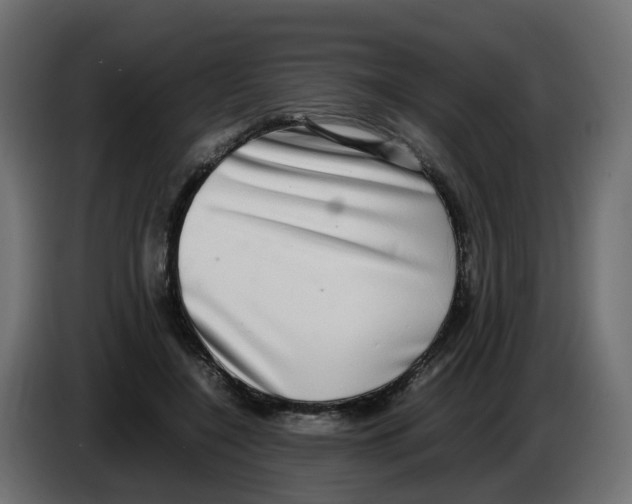 X0000083560548200703021721