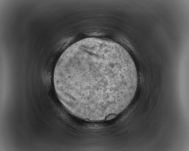 X0000083560549200703021721