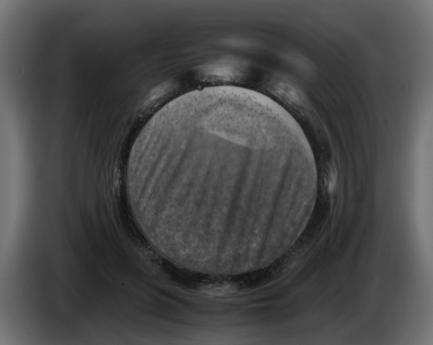 X0000083560551200703021721