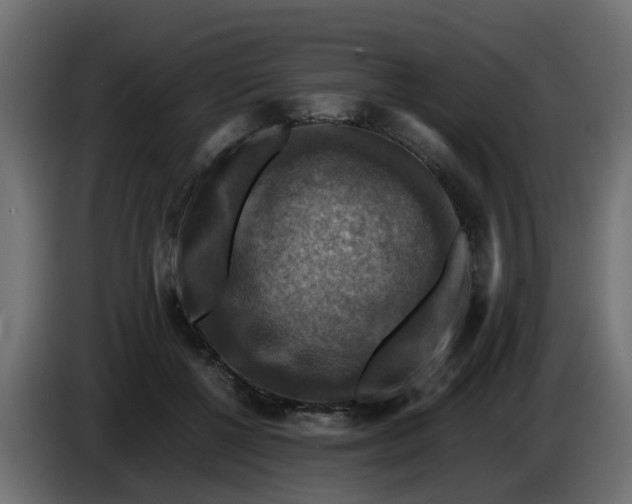 X0000083560552200703021721