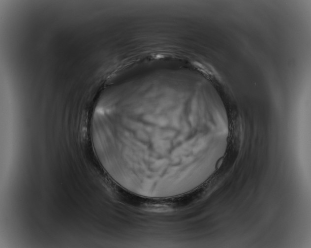 X0000083560553200703021721