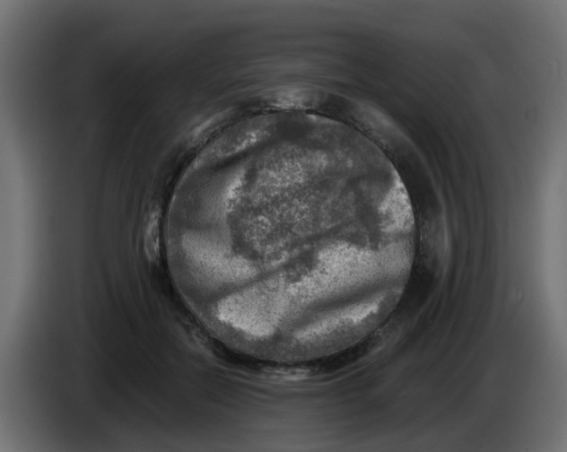 X0000083560554200703021721