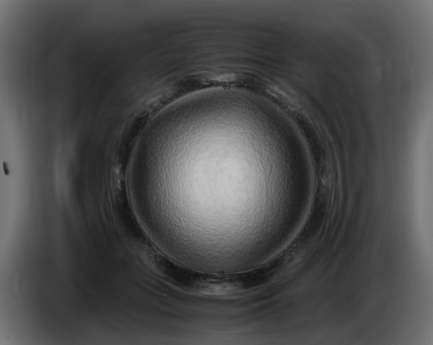 X0000083560555200703021721