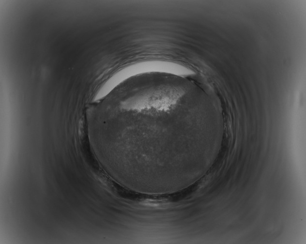 X0000083560556200703021721