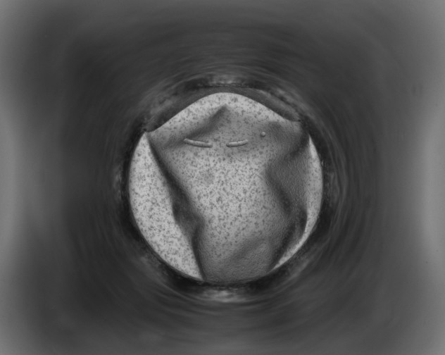 X0000083560557200703021721