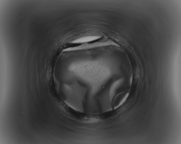 X0000083560559200703021721