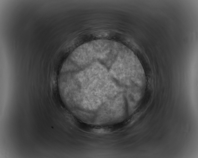 X0000083560561200703021722