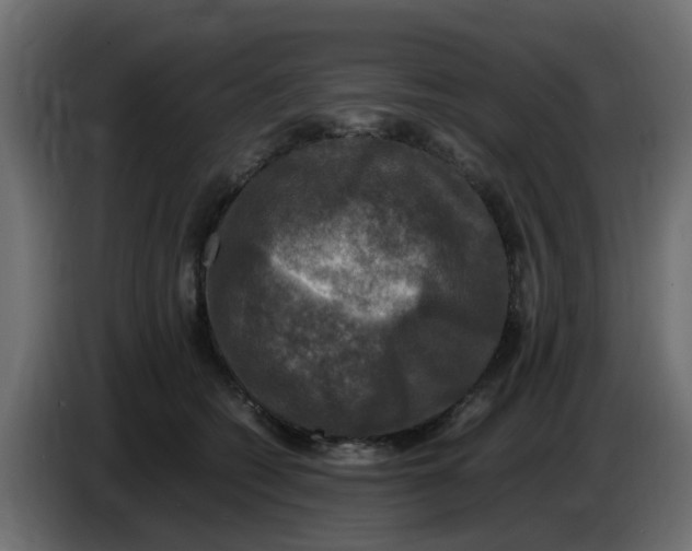 X0000083560562200703021722