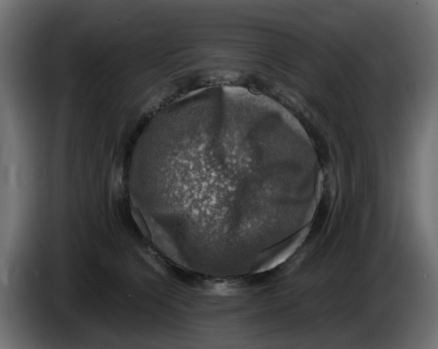 X0000083560564200703021722