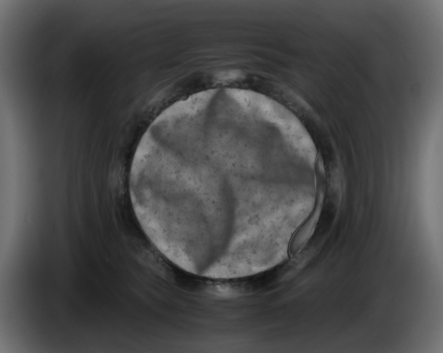 X0000083560565200703021722